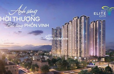 CHỈ 1.9 TỶ SỞ HỮU NGAY CĂN HỘ 76M² TẠI TECCO ELITE CITY – CHIẾT KHẤU 6% – CƠ HỘI VÀNG!